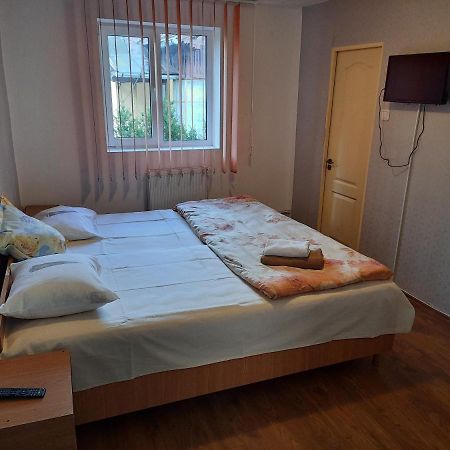 Hotel Vila Danlavi Buşteni Extérieur photo
