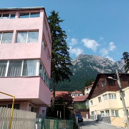 Hotel Vila Danlavi Buşteni Extérieur photo