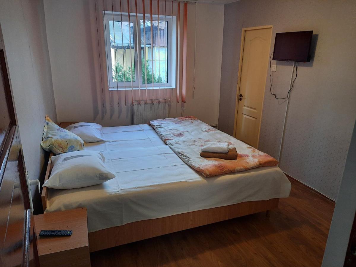 Hotel Vila Danlavi Buşteni Extérieur photo
