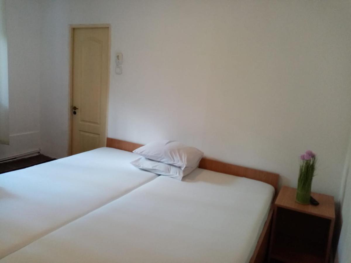 Hotel Vila Danlavi Buşteni Extérieur photo